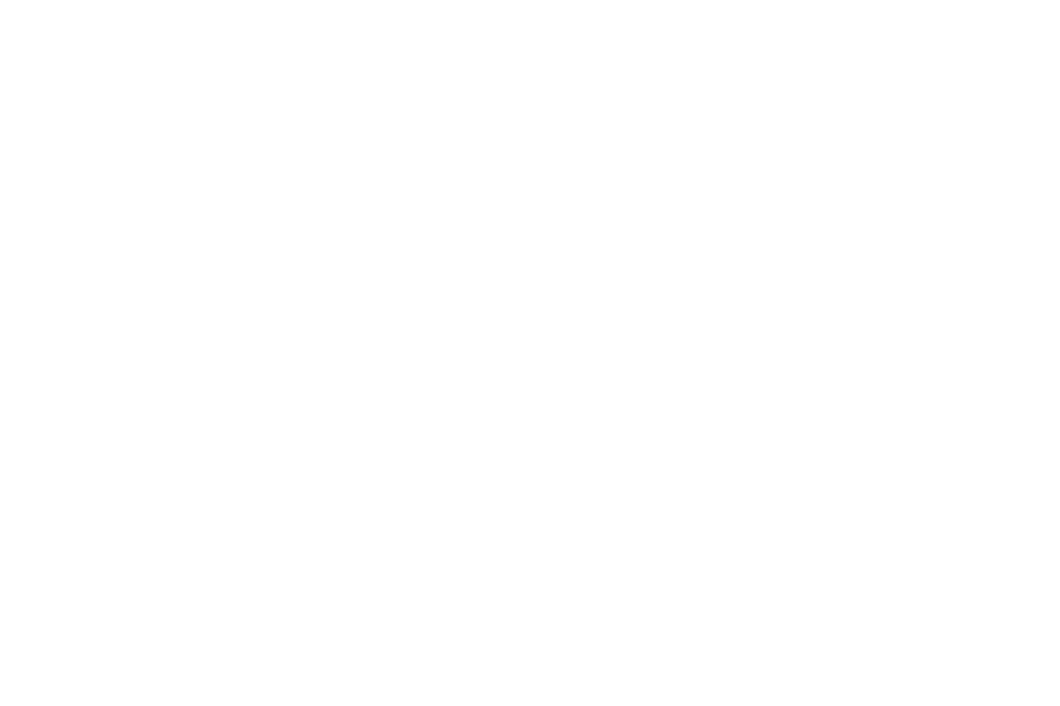 Wellness Classic